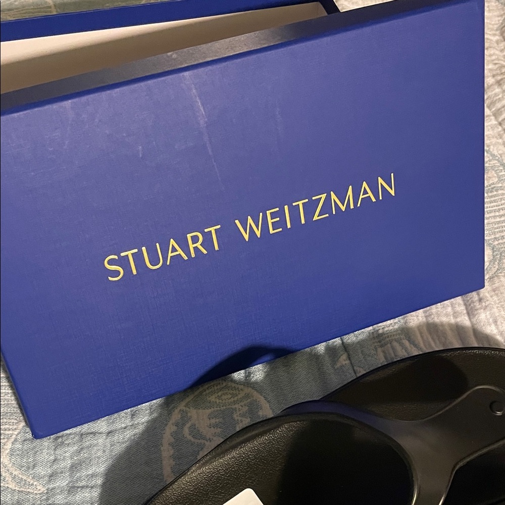 Stuart Weitzman Elegant Black Slides